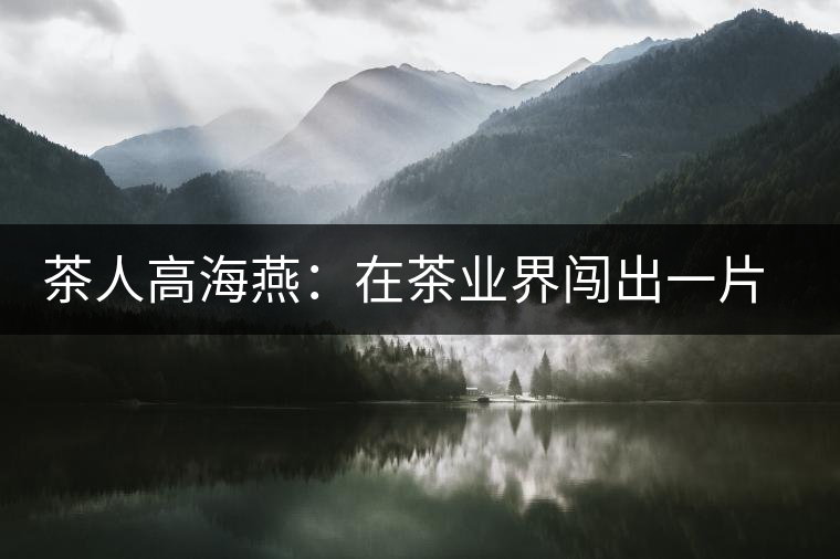 茶人高海燕：在茶業(yè)界闖出一片天地