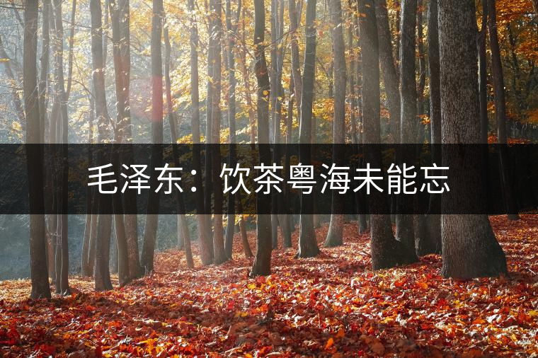 毛澤東：飲茶粵海未能忘
