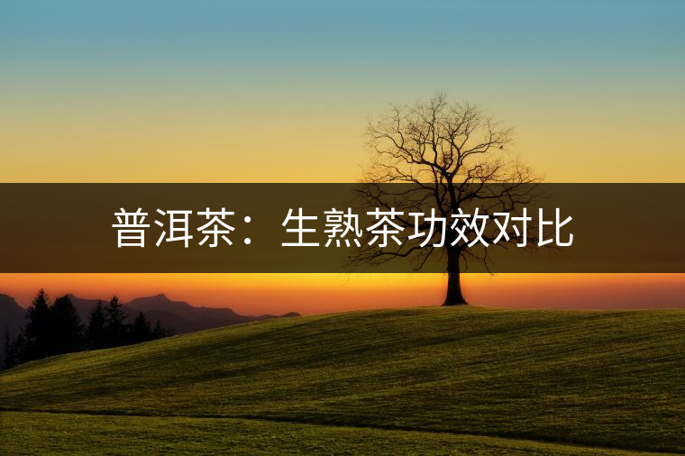 普洱茶：生熟茶功效對比