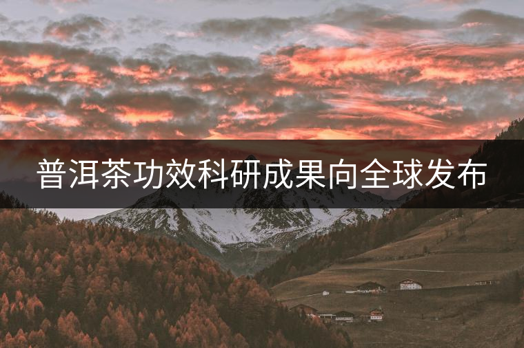 普洱茶功效科研成果向全球發(fā)布