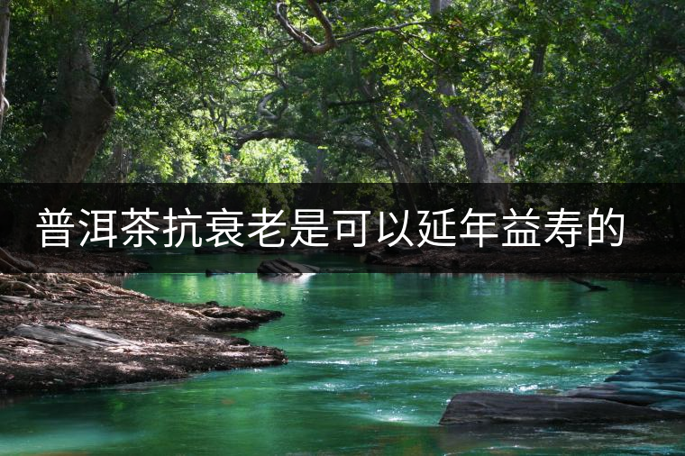 普洱茶抗衰老是可以延年益壽的茶