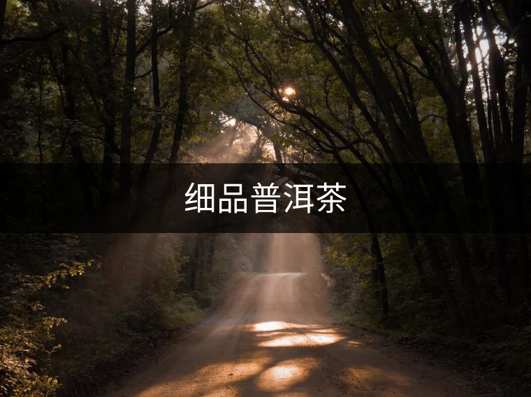 細品普洱茶