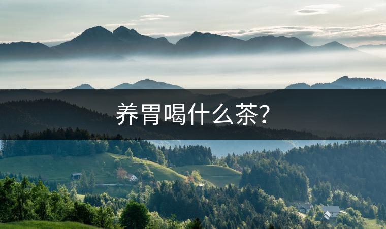 養(yǎng)胃喝什么茶？