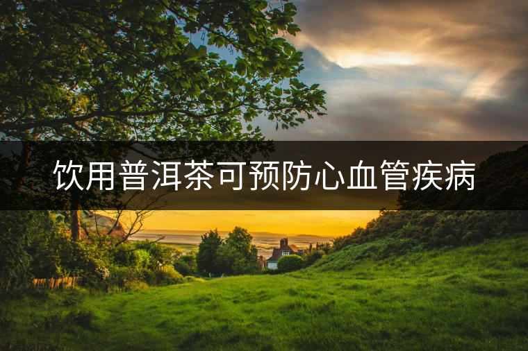 飲用普洱茶可預防心血管疾病