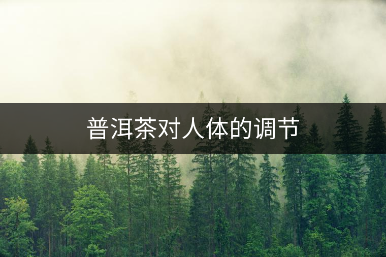 普洱茶對(duì)人體的調(diào)節(jié)