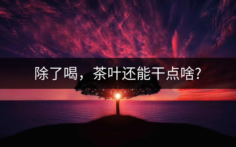 除了喝,茶葉還能干點(diǎn)啥? 除了喝,茶葉還能干點(diǎn)啥?