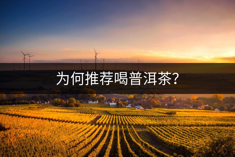 為何推薦喝普洱茶？