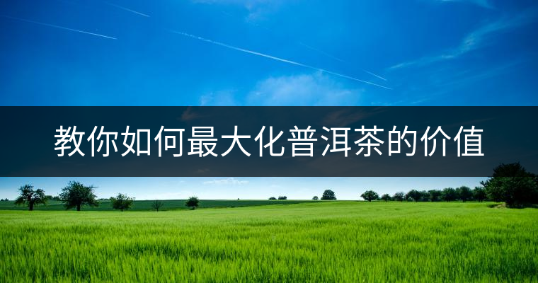 教你如何最大化普洱茶的價值