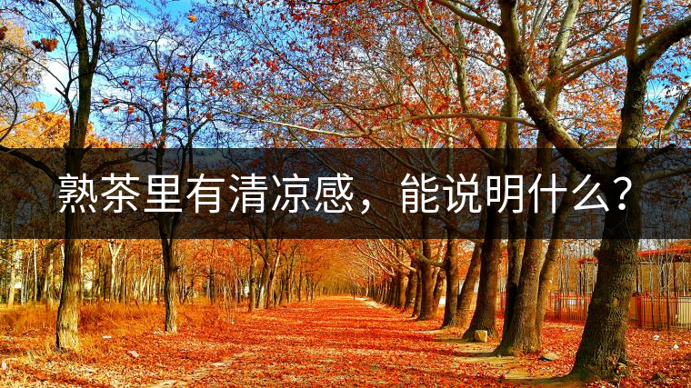 熟茶里有清涼感，能說明什么？