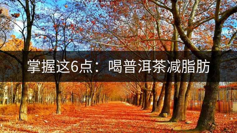 掌握這6點(diǎn):喝普洱茶減脂肪 掌握這6點(diǎn):喝普洱茶減脂肪