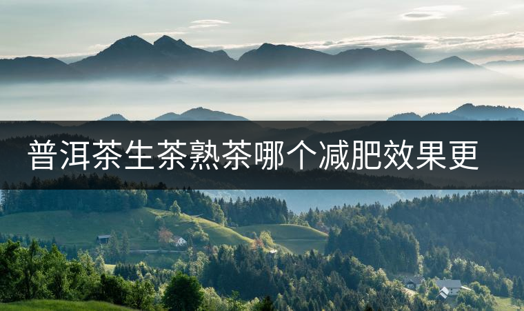 普洱茶生茶熟茶哪個減肥效果更好 普洱茶生茶熟茶哪個減肥效果更好