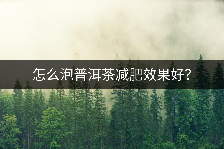 怎么泡普洱茶減肥效果好？
