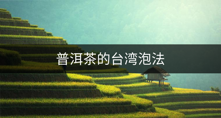 普洱茶的臺灣泡法