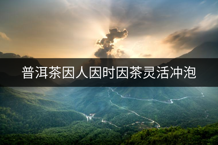普洱茶因人因時(shí)因茶靈活沖泡