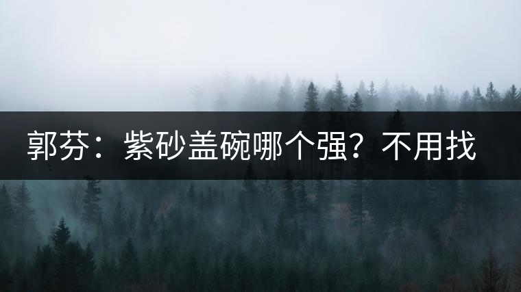 郭芬：紫砂蓋碗哪個強？不用找藍(lán)翔