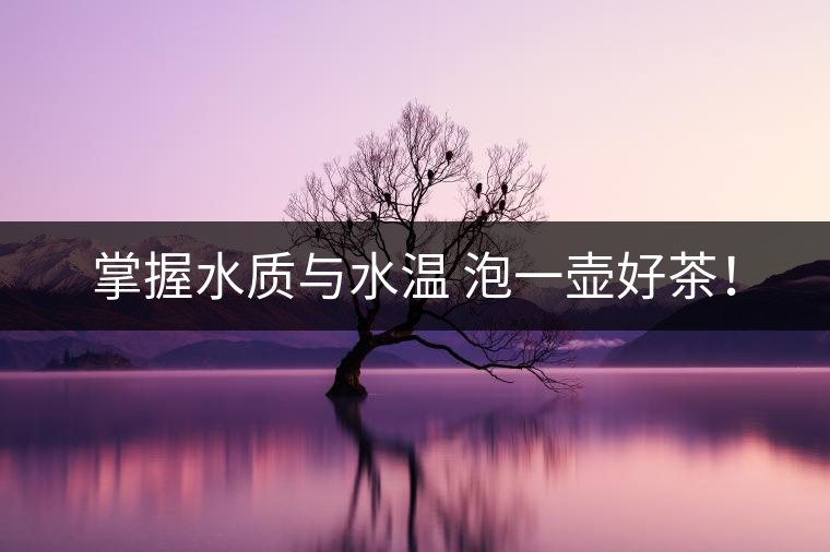 掌握水質與水溫 泡一壺好茶！