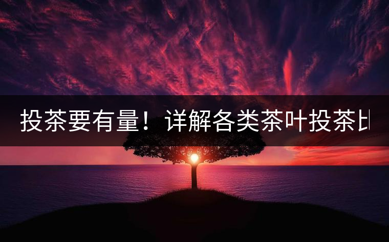 投茶要有量！詳解各類茶葉投茶比例 泡茶技能再升級(jí)
