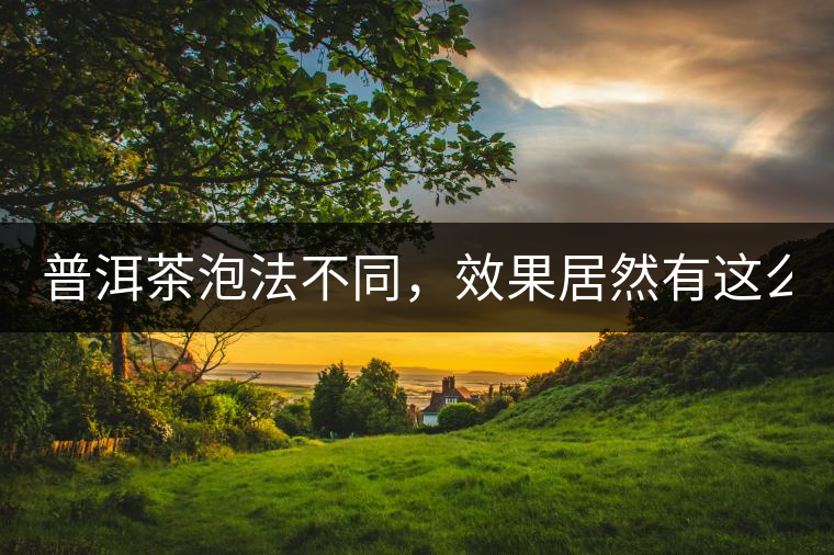 普洱茶泡法不同，效果居然有這么大區(qū)別！