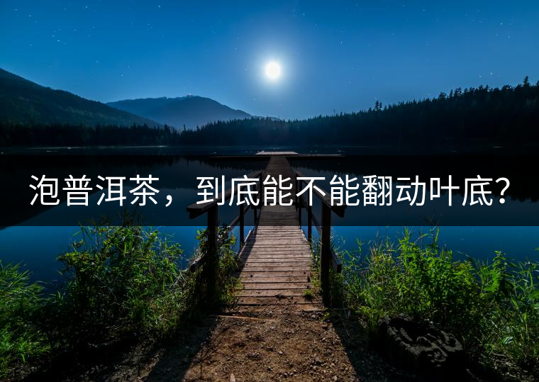 泡普洱茶，到底能不能翻動葉底？