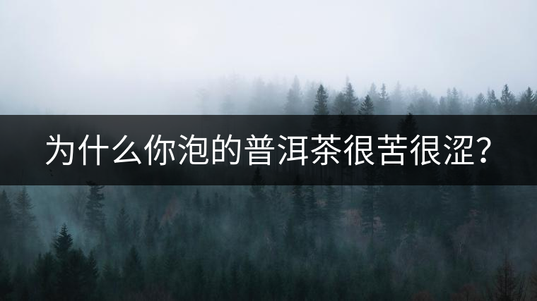 為什么你泡的普洱茶很苦很澀？