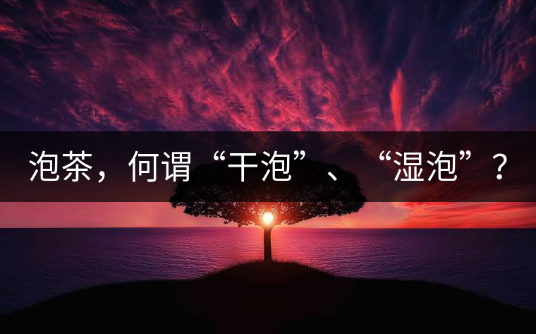 泡茶，何謂“干泡”、“濕泡”？