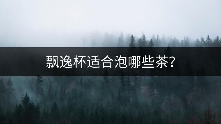 飄逸杯適合泡哪些茶？