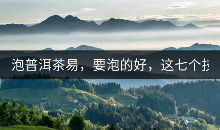 泡普洱茶易，要泡的好，這七個技巧很重要！