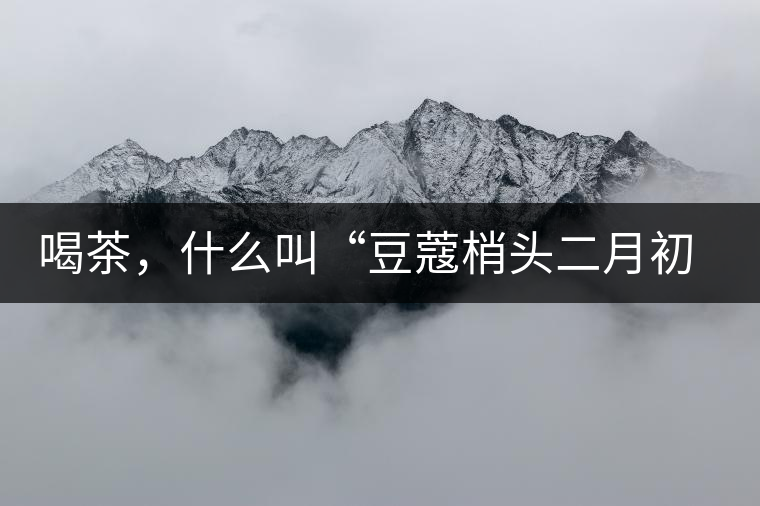喝茶，什么叫“豆蔻梢頭二月初”？