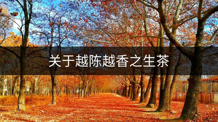 關于越陳越香之生茶