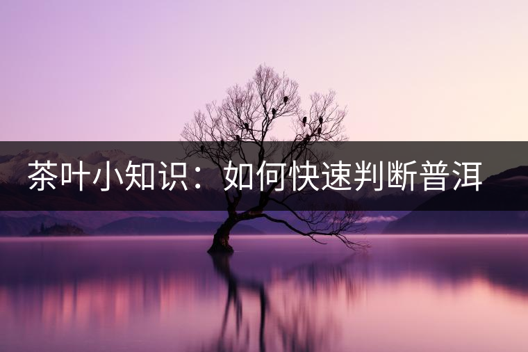 茶葉小知識(shí)：如何快速判斷普洱茶品級(jí)高低？