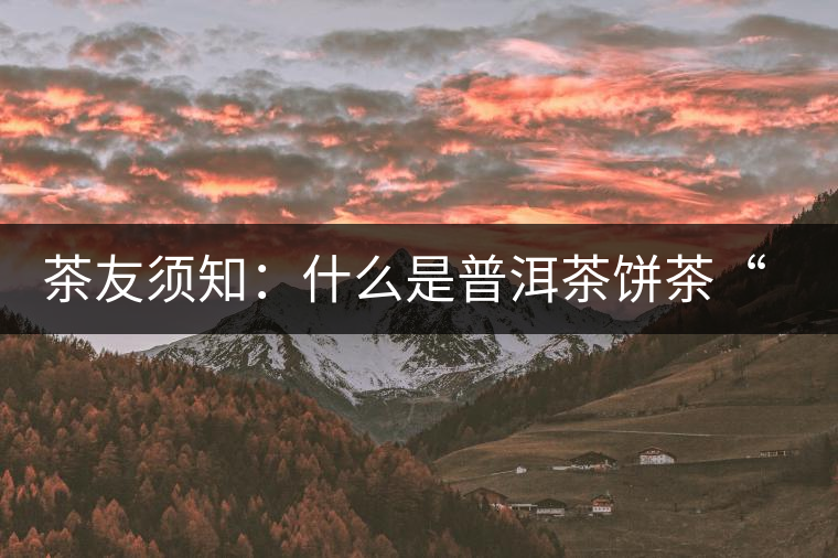 茶友須知：什么是普洱茶餅茶“八病”？如何鑒別？