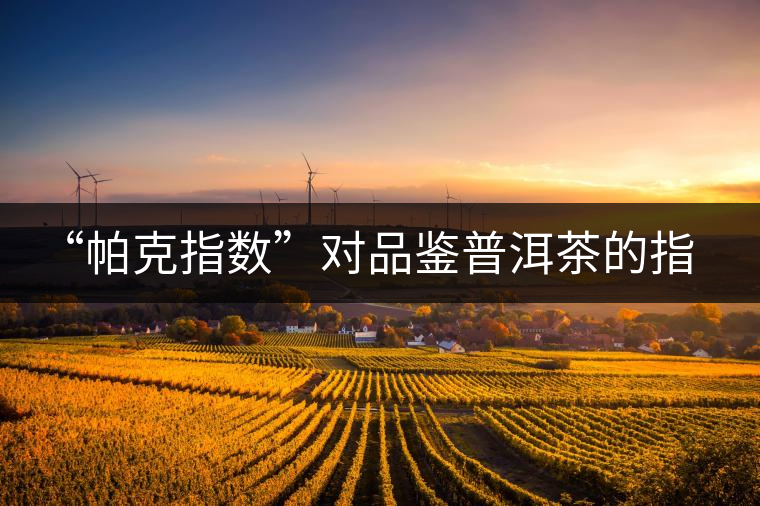 “帕克指數(shù)”對(duì)品鑒普洱茶的指導(dǎo)意義在哪里？「跨界有道」