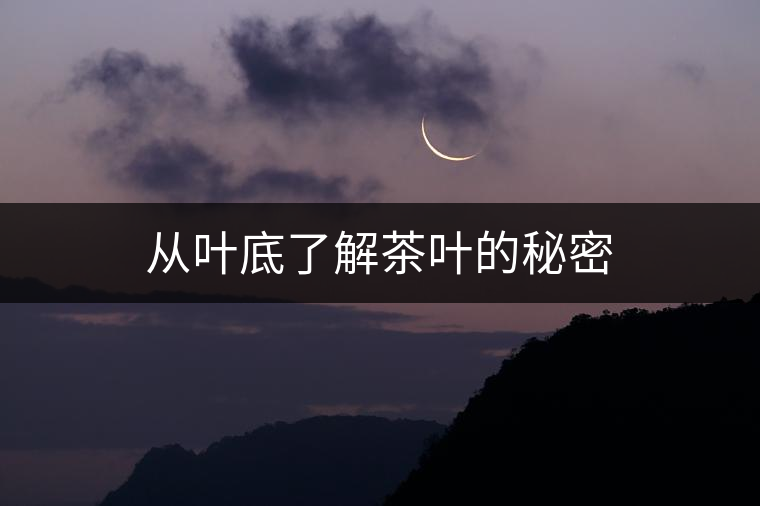 從葉底了解茶葉的秘密