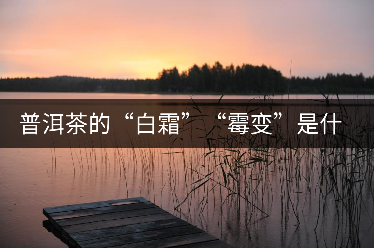 普洱茶的“白霜”“霉變”是什么鬼？