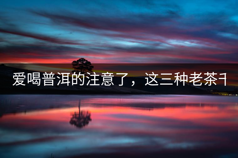 愛喝普洱的注意了，這三種老茶千萬不能買！