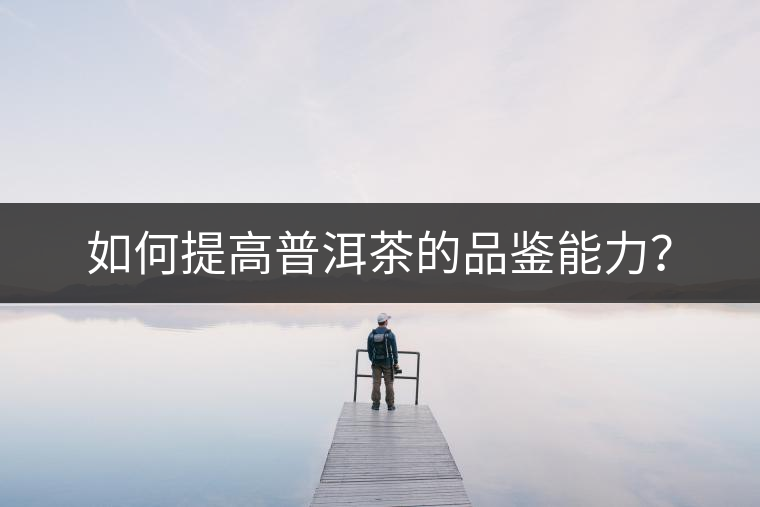 如何提高普洱茶的品鑒能力？