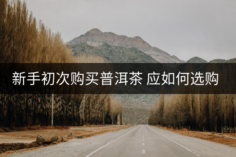 新手初次購(gòu)買普洱茶 應(yīng)如何選購(gòu)？