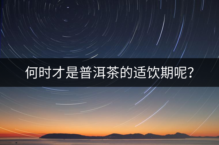 何時才是普洱茶的適飲期呢？
