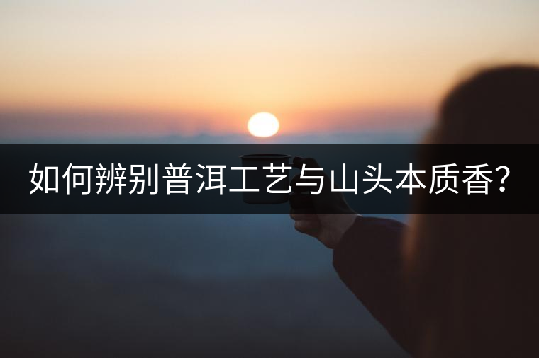 如何辨別普洱工藝與山頭本質(zhì)香？