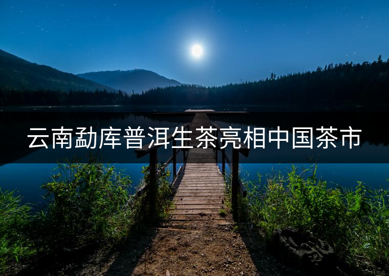 云南勐庫普洱生茶亮相中國茶市