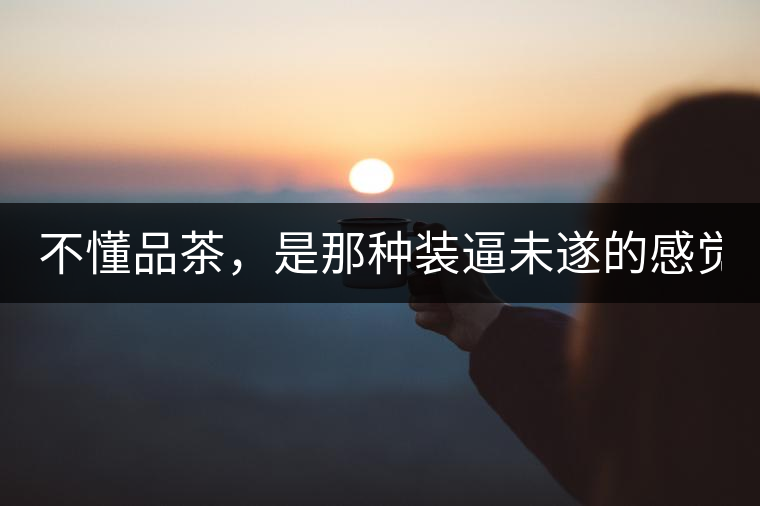 不懂品茶，是那種裝逼未遂的感覺？