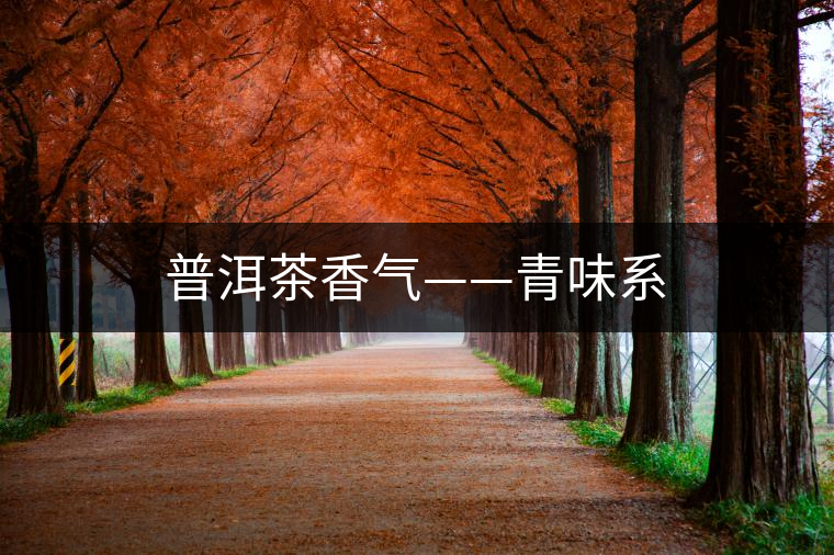 普洱茶香氣——青味系