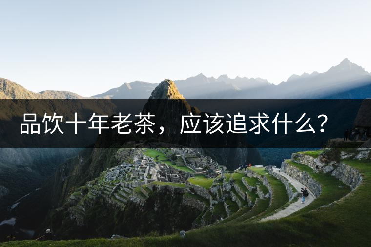品飲十年老茶，應(yīng)該追求什么？滋味還是故事？