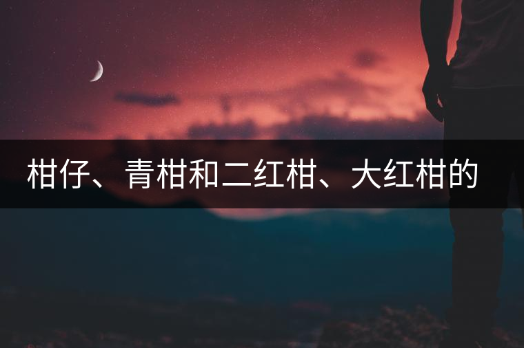 柑仔、青柑和二紅柑、大紅柑的區(qū)別，你可知道？