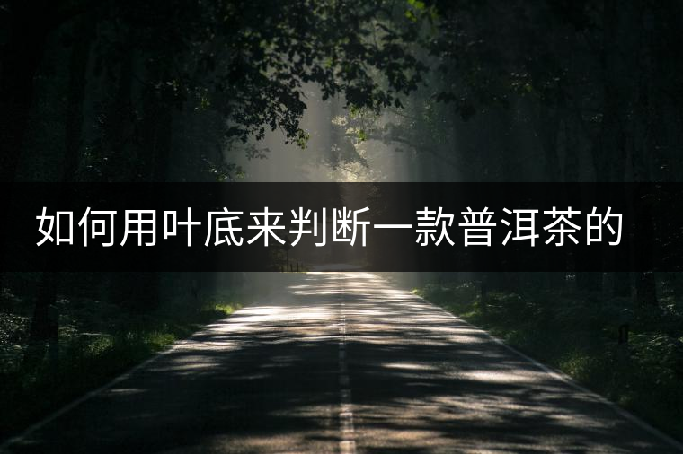 如何用葉底來判斷一款普洱茶的優(yōu)劣？
