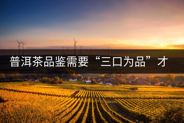 普洱茶品鑒需要“三口為品”才真實(shí)，那從哪里入手品鑒呢？