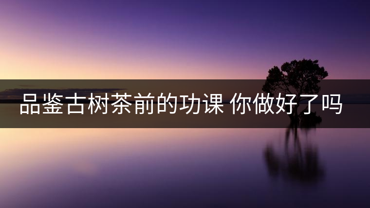 品鑒古樹茶前的功課 你做好了嗎？