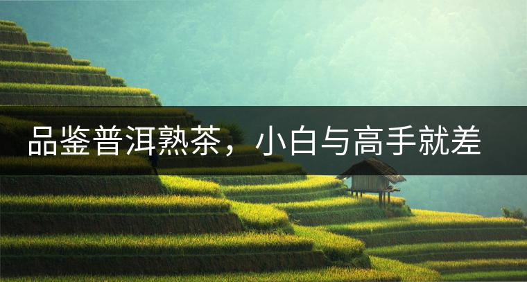 品鑒普洱熟茶，小白與高手就差這五點(diǎn)