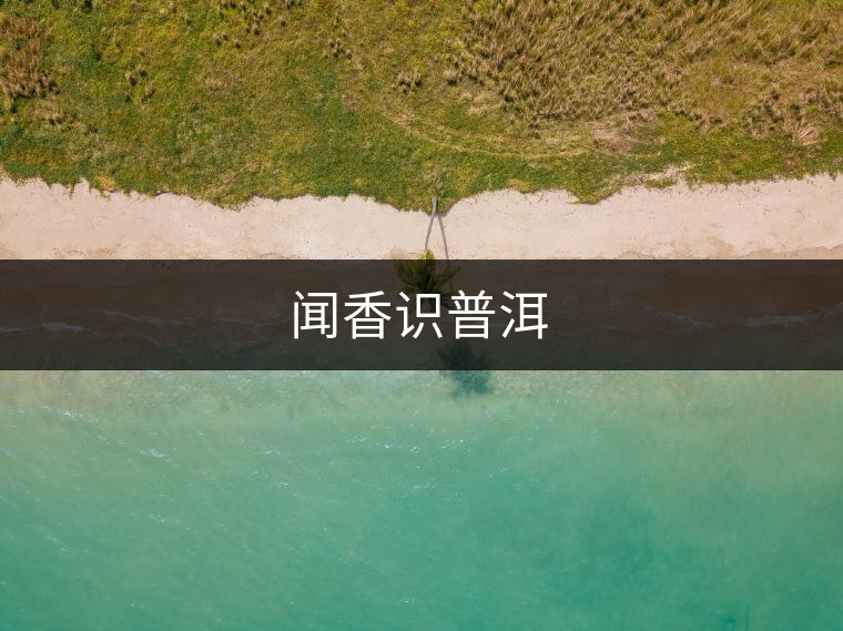 聞香識普洱