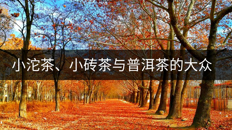小沱茶、小磚茶與普洱茶的大眾化之路